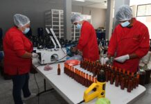 Michoacán supera el medio millón de empleos formales; alcanzó su cifra más alta en febrero