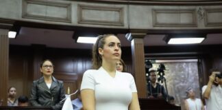 Endurecer penas por tala ilegal y devastación forestal en Michoacán, propone diputada Sandra Arreola