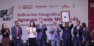Aguacate michoacano obtiene Indicación Geográfica por IMPI