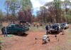 Dispersan 12 mil semillas en Pátzcuaro para restaurar el Estribo Grande