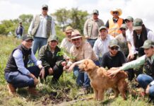 Michoacán va por récord verde; inicia Bedolla campaña para plantar 13 millones de árboles