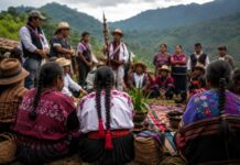 Nueva Ley busca que comunidades indígenas y afromexicanas ejerzan sus derechos con plena autonomía