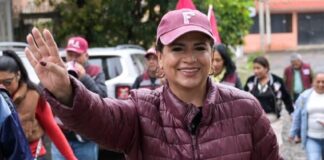 Michoacán debe seguir siendo ejemplo de unidad: Fabiola Alanís