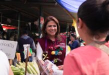 Gobierno de la Presidenta Claudia Sheinbaum impulsa el bienestar de las familias michoacanas: Fabiola Alanís