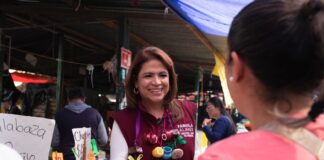Gobierno de la Presidenta Claudia Sheinbaum impulsa el bienestar de las familias michoacanas: Fabiola Alanís