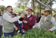 Avanza rescate del lago de Pátzcuaro; bajan 56% incendios forestales en la cuenca: Bedolla