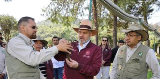 Avanza rescate del lago de Pátzcuaro; bajan 56% incendios forestales en la cuenca: Bedolla