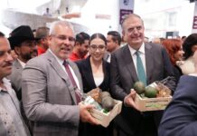 Michoacán consolida su liderazgo agrícola nacional, aporta el 28.2% de las exportaciones: Bedolla