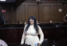 Vanhe Caratachea propone una ley para proteger a madres autónomas