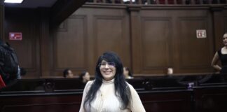 Vanhe Caratachea propone una ley para proteger a madres autónomas