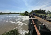 Conagua renovará infraestructura de riego en la Región Ciénega para mitigar inundaciones