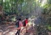 Este verano explora las áreas naturales protegidas de Michoacán en familia