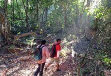 Este verano explora las áreas naturales protegidas de Michoacán en familia
