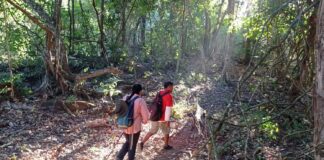 Este verano explora las áreas naturales protegidas de Michoacán en familia