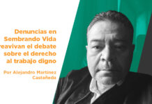 Denuncias en Sembrando Vida reavivan el debate sobre el derecho al trabajo digno