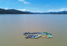Gobierno de Bedolla consolida siembra histórica de 321 mil peces en el lago de Pátzcuaro
