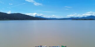 Gobierno de Bedolla consolida siembra histórica de 321 mil peces en el lago de Pátzcuaro