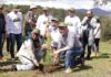 Michoacán se sumará a la Jornada Nacional de Reforestación con 13 millones de árboles este año: Bedolla