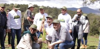 Michoacán se sumará a la Jornada Nacional de Reforestación con 13 millones de árboles este año: Bedolla