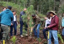En Segundo Año de Gobierno, Alfonso Martínez consolida liderazgo ambiental de Morelia con nombramiento de Ciudad Árbol