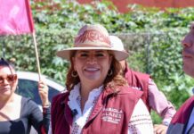 Fabiola Alanís: coordinación entre gobierno de presidenta Sheinbaum y EE.UU fortalecen industria del aguacate
