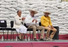 Más de 520 mdp para fortalecer la producción de maíz en Michoacán