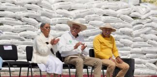 Más de 520 mdp para fortalecer la producción de maíz en Michoacán