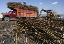 Condiciones de los cortadores de caña ponen en el centro los derechos laborales en zonas cañeras