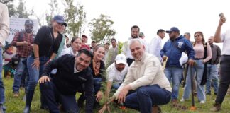 Arrancará mañana reforestación de 32 mil árboles en la ruta del Morebús: Bedolla