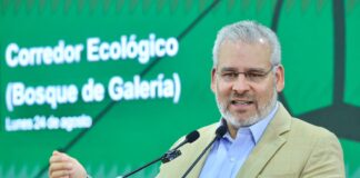 Arbolado de Tres Puentes se conserva; solo 27 ejemplares serán trasplantados: Bedolla