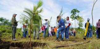 Zona de Tres Puentes contará con Corredor Ecológico; habrá árboles trasplantados y especies nativas
