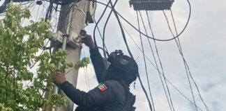 Aseguran SSP y fuerzas federales 12 cámaras parásitas en Apatzingán