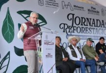Avanza compromiso ambiental del Morebús con la plantación de 2 mil 500 árboles