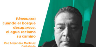 Pátzcuaro: cuando el bosque desaparece, el agua reclama su camino