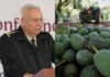 Refuerzan seguridad en zonas aguacateras de Michoacán para garantizar exportaciones a Estados Unidos