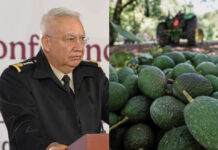 Refuerzan seguridad en zonas aguacateras de Michoacán para garantizar exportaciones a Estados Unidos