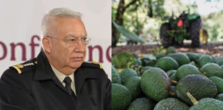 Refuerzan seguridad en zonas aguacateras de Michoacán para garantizar exportaciones a Estados Unidos