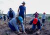 Reforesta SCOP el segundo anillo periférico de Morelia con más de 36 mil árboles endémicos