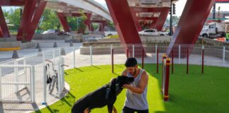 Transformamos distribuidores viales de Morelia en parques y espacios de convivencia: Rogelio Zarazúa