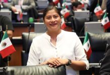 Celeste Ascencio llama a la autocrítica, la unidad y al fortalecimiento de los procesos de Morena