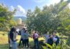 Del aula al campo: estudiantes del ITSPA fortalecen su formación en una huerta de aguacate