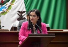 Teresita Herrera presenta iniciativa para la protección a la salud mental de niñas, niños y adolescentes en juicios familiares