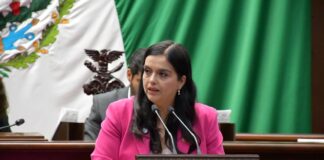 Teresita Herrera presenta iniciativa para la protección a la salud mental de niñas, niños y adolescentes en juicios familiares
