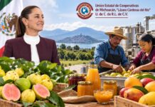 Cooperativas de Michoacán solicitan apoyo federal para financiar proyectos agroindustriales