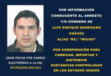 Cae en Tocumbo “El Güicho” o “R5”, presunto generador de violencia en Los Reyes