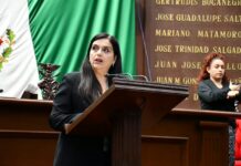 Impulsa diputada Tere Herrera reforma que permita el acompañamiento para jóvenes que egresan de centros de asistencia social
