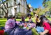 Disfruta un domingo de picnic, lectura y charla con la escritora Casandra Gómez