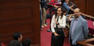 Presenta Sandra Arreola iniciativa para protección de animales comunitarios