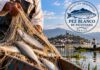 Pez blanco de Pátzcuaro cumple un año con protección geográfica; continúa el reto de preservar la especie