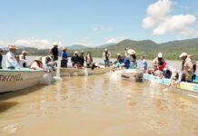 Suman 215 mil ejemplares de pez blanco liberados en el lago de Pátzcuaro
